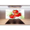 Panel do kuchyne Paradajky a šalát 100x50 cm