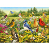 RAVENSBURGER Puzzle Ptačí louka 500 dílků