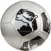 Futbalová lopta Puma Big Cat 84214 03