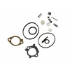Tesnenie na kosačky - Briggs Stratton Quantum Carburetor Set (Briggs Stratton Quantum Carburetor Set)