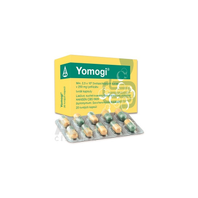 Yomogi cps dur 250 mg (blis.PVC/PE/PVDC/Al) 1x20 ks
