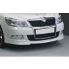 Škoda Octavia II - Chróm rámček ŠPZ