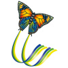 Günther BUTTERFLY 95 x 63 cm