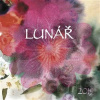 Lunář 2019 - Linda Nollová