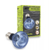 Žiarovka Neodymium Daylight Spot Bulb ES