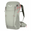 Salewa Alp Trainer 20 Wsl sivá
