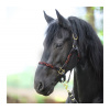 Kavalkade - Ohlávka Tessa Farba: Hnedá - bordová, Veľkosť: PONY