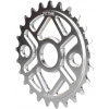 Fiction BMX Asgard Freestyle BMX Převodníky (Polished|25T)
