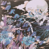 Shins - Worm's Heart / Vinyl [LP]