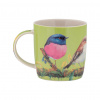 Maxwell & Williams ŠÁLKA kostný porcelán (bone china) keramika - Jedálenské sety - 004141047703
