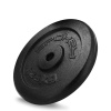 Spokey SINIS Liatinové nakladacie kotúče, 29mm, 1,25kg