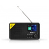 Tesla Sound DAB65