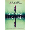 Someone Like Me