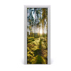 Fototapeta na dvere Sosny les 75x205