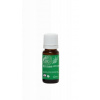 Tierra Verde Silica BIO Eukalyptus 10 ml