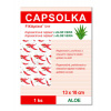 FIXAPLAST Capsolka - kapsaicínová náplast s Aloe vera 13 cm x 18 cm
