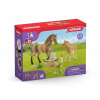 Schleich 42432 Set žriebä a Quarter kôň so šteniatkom a doplnkami