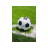 Jerry Fabrics Detská deka s futbalovou loptou