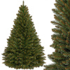 Springos Vianočný stromček Smrek kaukazský 220 cm