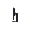 EIZO FlexScan/S2134/21,3