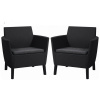 Záhradný set KETER Salemo DUO - 74 x 67 x 76 cm - grafit / šedá - 2 ks
