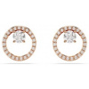 SWAROVSKI 5692263