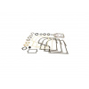 Briggs&Stratton Sada tesnení na motor BR299577