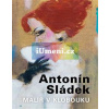 Antonín Sládek – Malíř v klobouku | kolektiv autorů