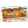 Akvarelová sada Aquarius paleta Artur Przybysza
