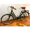 Mestsky bicykel - Excelsior Juicy Municipal Classic Shimano Nexus 3 (Excelsior Juicy Municipal Classic Shimano Nexus 3)