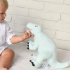 Plyšový Tyranosaurus Rex mäta L Hračka: Hračka bez mena