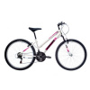Kenzel Avox Lady 2024