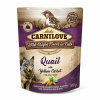 CarniLove Quail with Yellow Carrot 300 g
