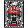 Labyrint u Mrtvého ženicha - Rečková Jana