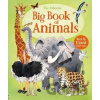 Big Book Of Animals - Hazel Maskell