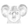 ZUTY Bodkovanie - FAREBNÁ KOALA NA BIELOM POZADÍ Rámovanie: bez rámu a bez vypnutia plátna, Rozmer: 40x50 cm