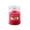 Provence Strawberry Melon 510 g