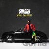 Shaggy: Wah Gwaan? LP - Shaggy