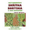 Další dobrodružství skřítka Borýska a jeho kamarádů - Libuše Křapová