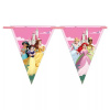 Procos Veniec princezien