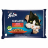 FELIX Fantastic cat kura s rajčinami & hovädzie s mrkvou želé 4 x 85 g