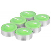 Strend PRO Citronella C-151 zelená 6 ks