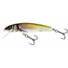 Salmo Wobler Minnow Sinking Holo Bleak-6 cm 6 g