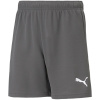 Detské krátke nohavice TeamRise Jr 704943 13 - Puma 128CM
