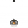 GLOBO MAXY 15548H1
