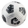 Lopta Nike Club Elite Team FZ7544-100