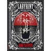 Labyrint u Mrtvého ženicha - Jana Rečková