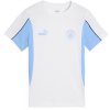 Puma Manchester City Football Archive pánske tričko White/Blue XL