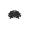 Weber Q 2100N
