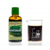 Mateřídouška - bylinné kapky (tinktura) 50 ml - doplněk stravy